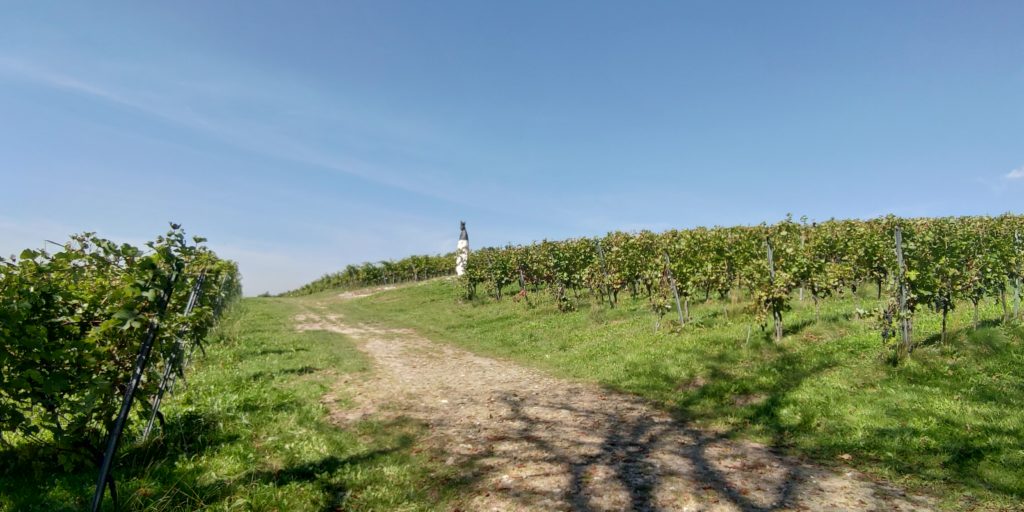 P_20210915_123327 (1) P_20210915_123327 (1)