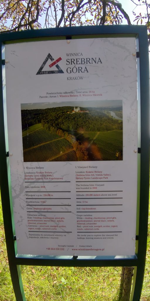 P_20210915_123749 (1) P_20210915_123749 (1)