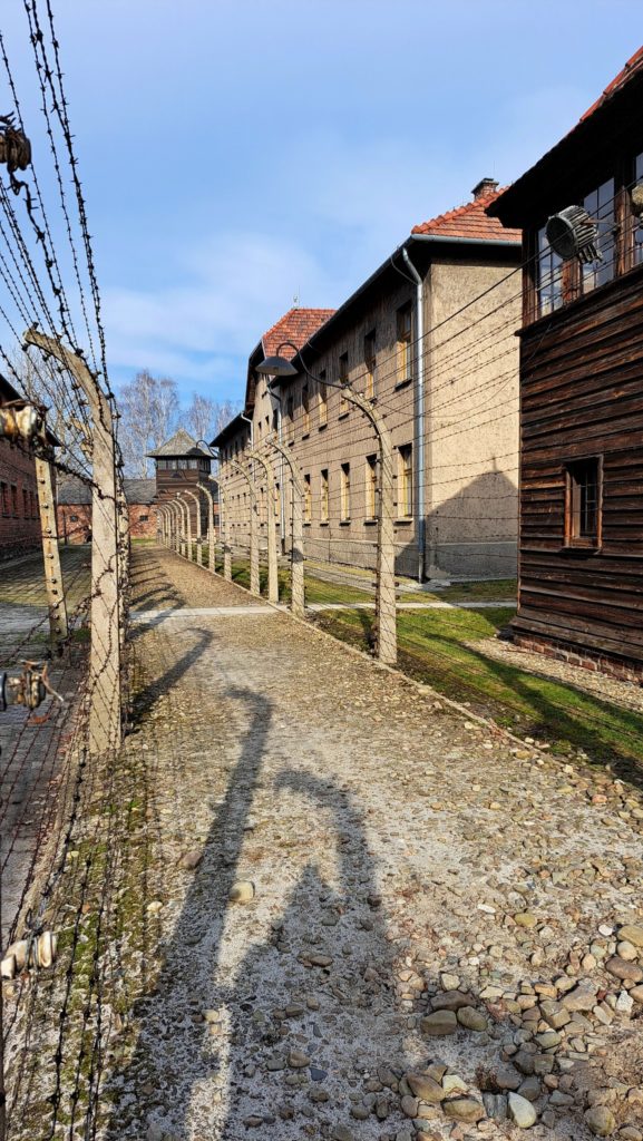 332255783_3057751131197783_4858965519731647146_n 332255783_3057751131197783_4858965519731647146_n