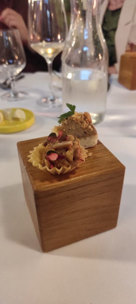 347404596_246575311315055_2562910937985123190_n 347404596_246575311315055_2562910937985123190_n